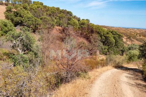 Helårsgrund i Tavira, Faro, Tavira - € 20.000 | Ref: 170260012 - foto 2