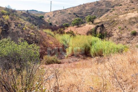 Helårsgrund i Tavira, Faro, Tavira - € 20.000 | Ref: 170260012 - foto 5