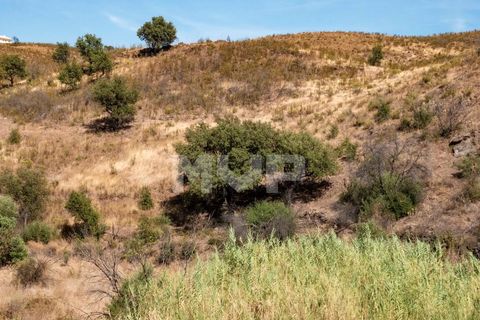 Helårsgrund i Tavira, Faro, Tavira - € 45.000 | Ref: 170260011 - foto 2