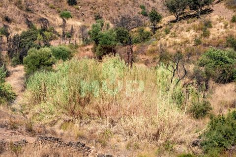 Helårsgrund i Tavira, Faro, Tavira - € 45.000 | Ref: 170260011 - foto 3
