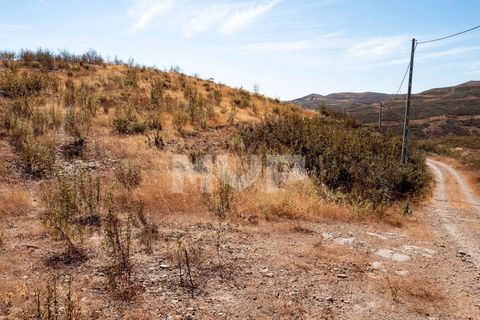 Helårsgrund i Tavira, Faro, Tavira - € 18.000 | Ref: 170260019 - foto 5