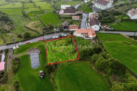 Helårsgrund i Lajes do Pico, Pico, Lajes do Pico - € 30.000 | Ref: 374260029 - foto 8