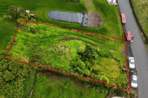 Helårsgrund i Lajes do Pico, Pico, Lajes do Pico - € 30.000 | Ref: 374260029 - foto 11