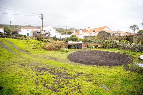Villa a Madalena, Pico, Madalena - € 390.000 | Ref: 374260022 - foto 19