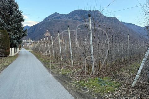Landejendom i Laives, South Tyrol, Laives - € 1.700.000 | Ref: Z215 - foto 7