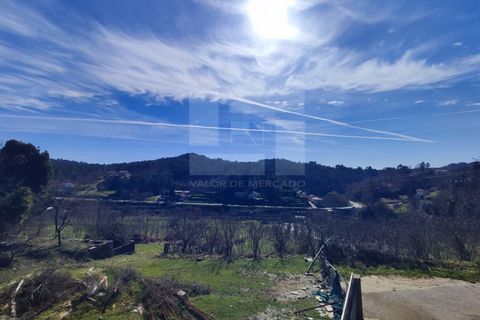 Villa i Castro Daire, Viseu, Castro Daire - € 230.000 | Ref: 02028954 - foto 41