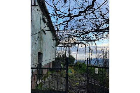 Villa i Portela e Extremo, Viana do Castelo, Portela e Extremo - € 35.000 | Ref: AVV-008-009 - foto 3