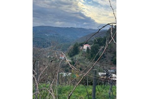 Villa i Portela e Extremo, Viana do Castelo, Portela e Extremo - € 35.000 | Ref: AVV-008-009 - foto 18