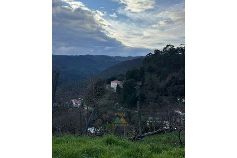 Villa i Portela e Extremo, Viana do Castelo, Portela e Extremo - € 35.000 | Ref: AVV-008-009 - foto 20