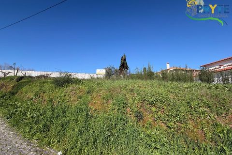 Helårsgrund i Serta, Castelo Branco, Serta - € 57.500 | Ref: MG164 - foto 1