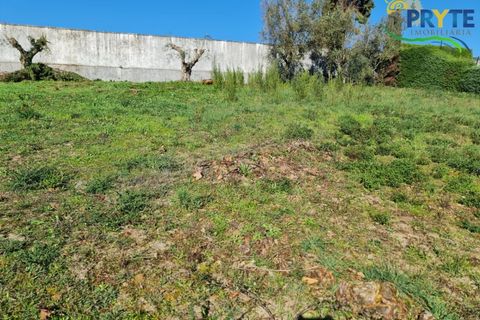 Helårsgrund i Serta, Castelo Branco, Serta - € 57.500 | Ref: MG164 - foto 2