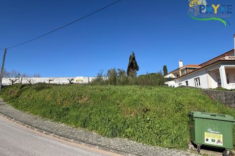 Helårsgrund i Serta, Castelo Branco, Serta - € 57.500 | Ref: MG164 - foto 7