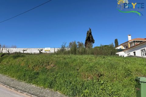 Helårsgrund i Serta, Castelo Branco, Serta - € 57.500 | Ref: MG164 - foto 8