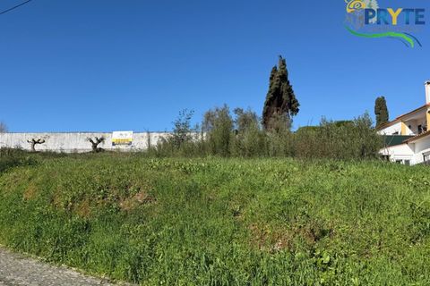 Helårsgrund i Serta, Castelo Branco, Serta - € 57.500 | Ref: MG164 - foto 9