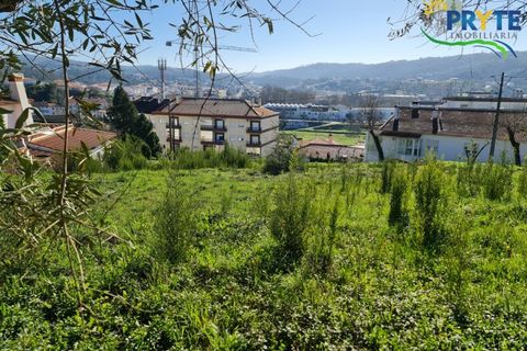 Helårsgrund i Serta, Castelo Branco, Serta - € 57.500 | Ref: MG164 - foto 10
