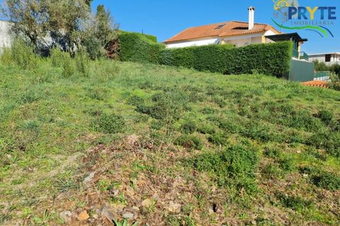 Helårsgrund i Serta, Castelo Branco, Serta - € 57.500 | Ref: MG164 - foto 11