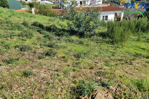 Helårsgrund i Serta, Castelo Branco, Serta - € 57.500 | Ref: MG164 - foto 14