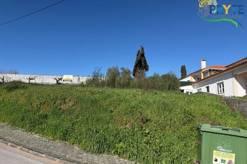 Helårsgrund i Serta, Castelo Branco, Serta - € 57.500 | Ref: MG164 - foto 16