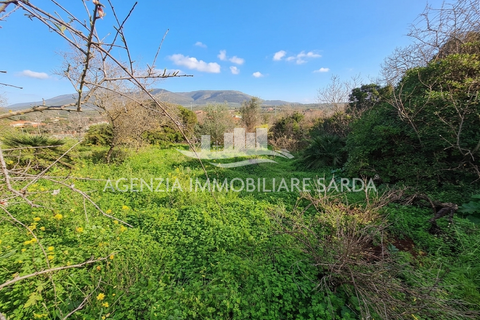 Villa i Alghero, Sassari, Alghero - € 220.000 | Ref: ALG94 - foto 1