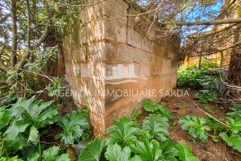 Villa i Alghero, Sassari, Alghero - € 220.000 | Ref: ALG94 - foto 6