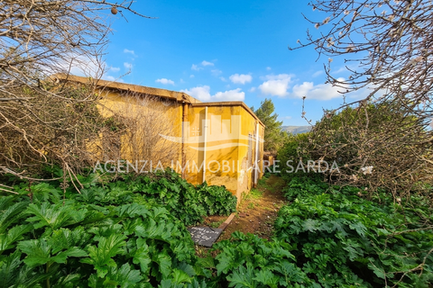 Villa i Alghero, Sassari, Alghero - € 220.000 | Ref: ALG94 - foto 8