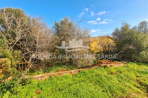 Villa i Alghero, Sassari, Alghero - € 220.000 | Ref: ALG94 - foto 11