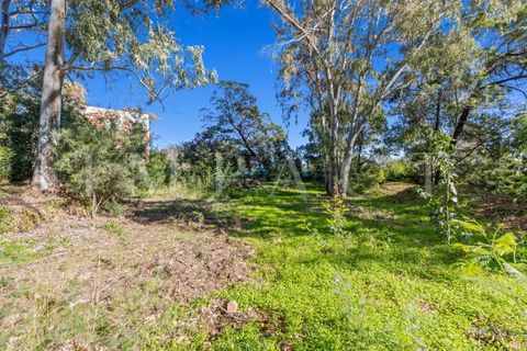 Villa i Saint-Raphaël, Var, Saint-Raphaël - € 1.950.000 | Ref: 2204 CD - foto 20