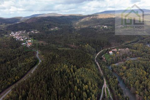 Villa i Lousa, Coimbra, Lousa - € 495.000 | Ref: 703 - foto 13