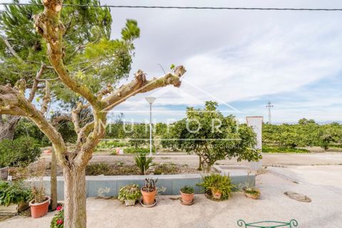 Villa a Rojales, Alicante, Rojales - € 255.000 | Ref: DH282-D - foto 15