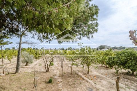 Villa a Rojales, Alicante, Rojales - € 255.000 | Ref: DH282-D - foto 16
