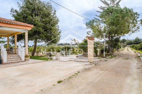 Villa a Rojales, Alicante, Rojales - € 255.000 | Ref: DH282-D - foto 17