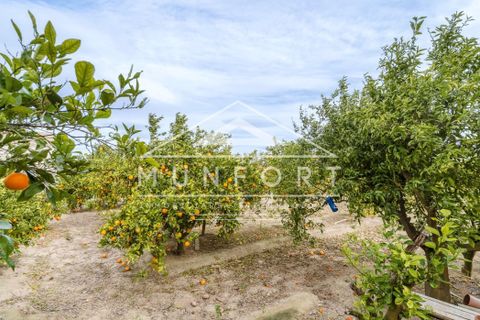 Villa a Rojales, Alicante, Rojales - € 255.000 | Ref: DH282-D - foto 19