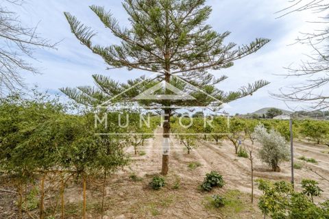 Villa a Rojales, Alicante, Rojales - € 255.000 | Ref: DH282-D - foto 22
