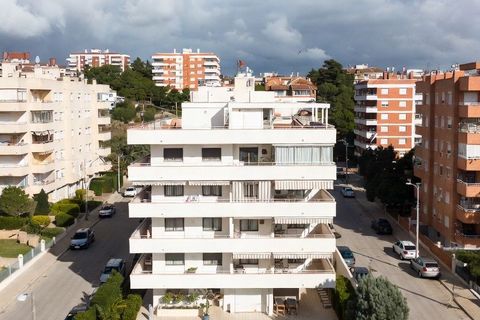 Tomt i Piles, Valencia, Piles - € 1 290 000 | Ref: N1524 - foto 4