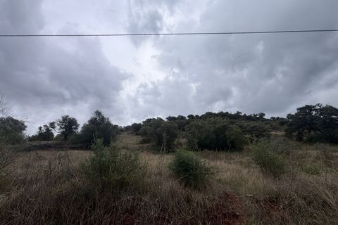 Terra a Almogia, Malaga, Almogia - € 848.400 | Ref: fca24fde-288e-4513-a - foto 5