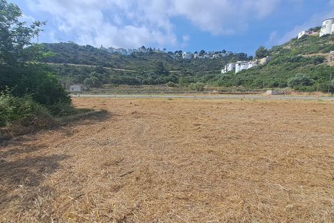 Helårsgrund i Pego, Alicante, Pego - € 115.000 | Ref: a6fb8b22-1492-4deb-a - foto 14