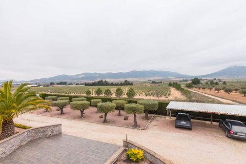 Villa i Yecla, Murcia, Yecla - € 499.000 | Ref: 914ad145-6d3f-4dde-8 - foto 40