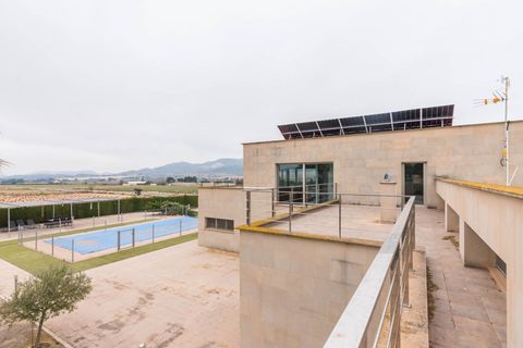 Villa i Yecla, Murcia, Yecla - € 499.000 | Ref: 914ad145-6d3f-4dde-8 - foto 42
