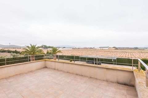 Villa i Yecla, Murcia, Yecla - € 499.000 | Ref: 914ad145-6d3f-4dde-8 - foto 48