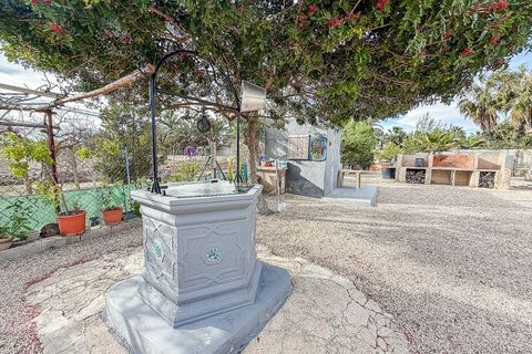 Masia a Elche, Alicante, Elche - € 250.000 | Ref: DA7005 - foto 11