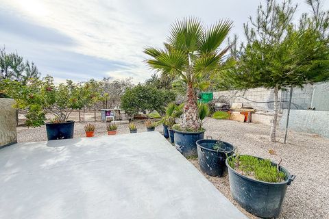 Masia a Elche, Alicante, Elche - € 250.000 | Ref: DA7005 - foto 15