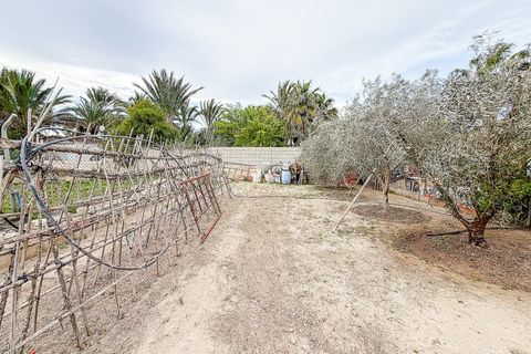 Masia a Elche, Alicante, Elche - € 250.000 | Ref: DA7005 - foto 41