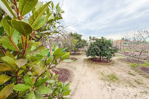 Masia a Elche, Alicante, Elche - € 250.000 | Ref: DA7005 - foto 43