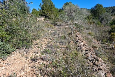Tomt i Tarragona, Tarragona, Tarragona - € 70 000 | Ref: 807499 - foto 5