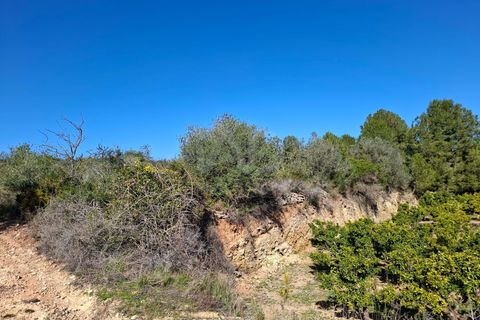 Tomt i Tarragona, Tarragona, Tarragona - € 70 000 | Ref: 807499 - foto 6