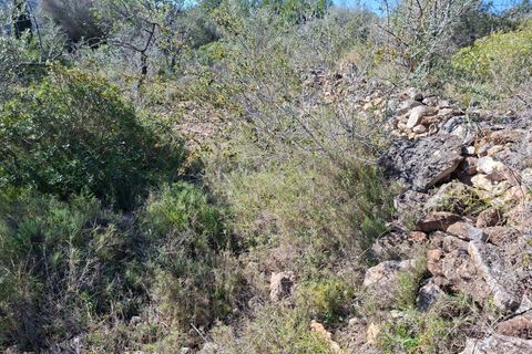 Tomt i Tarragona, Tarragona, Tarragona - € 70 000 | Ref: 807499 - foto 8