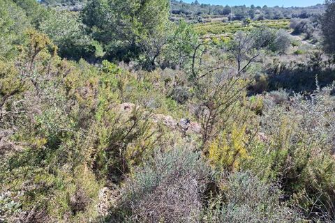 Tomt i Tarragona, Tarragona, Tarragona - € 70 000 | Ref: 807499 - foto 9
