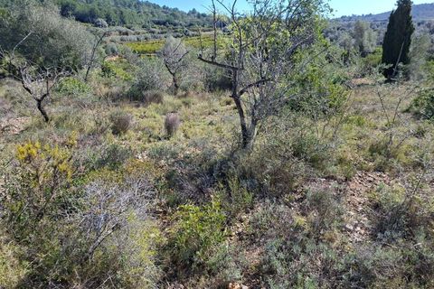 Tomt i Tarragona, Tarragona, Tarragona - € 70 000 | Ref: 807499 - foto 10