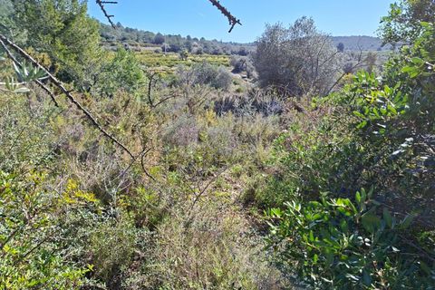 Tomt i Tarragona, Tarragona, Tarragona - € 70 000 | Ref: 807499 - foto 12