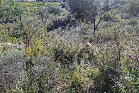 Tomt i Tarragona, Tarragona, Tarragona - € 70 000 | Ref: 807499 - foto 13